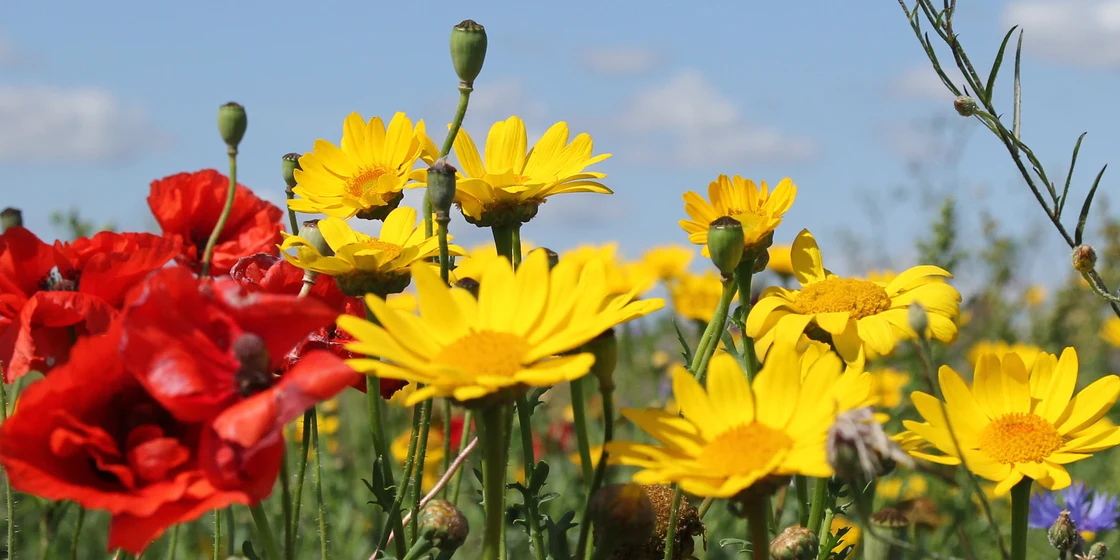 velikonocni-prazniki