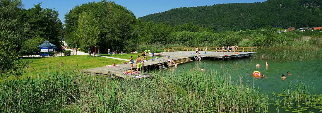 Breznik