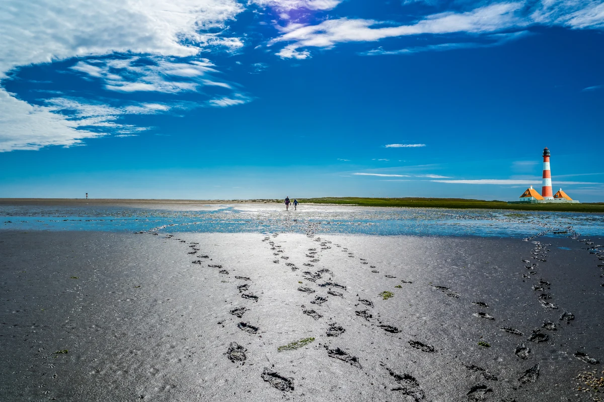De Waddenzee