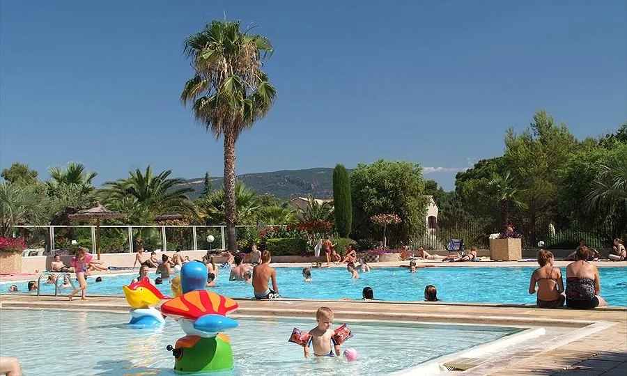 People swimming, relaxing, and playing in and around a large, sunny outdoor pool surrounded by greenery at Leï Suves