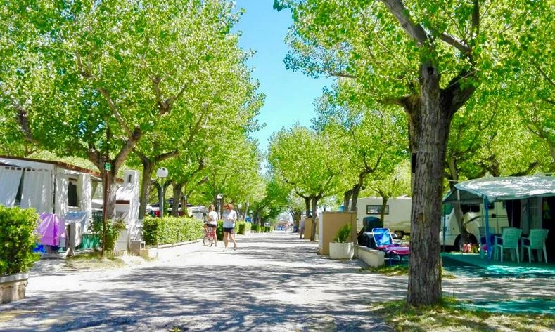 People walking along a tree-lined path with parked caravans and tents in a sunny campsite at International Riccione Family Camping Village