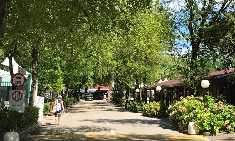 People leisurely walking down a tree-lined road with quaint buildings and lush greenery on either side at Isamar