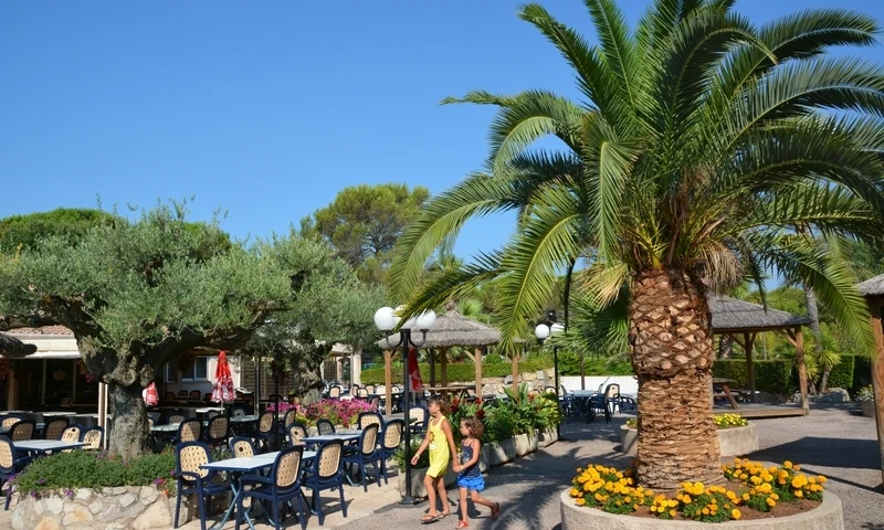 People walking near outdoor dining tables and palm trees in a sunny, garden-like setting at Leï Suves