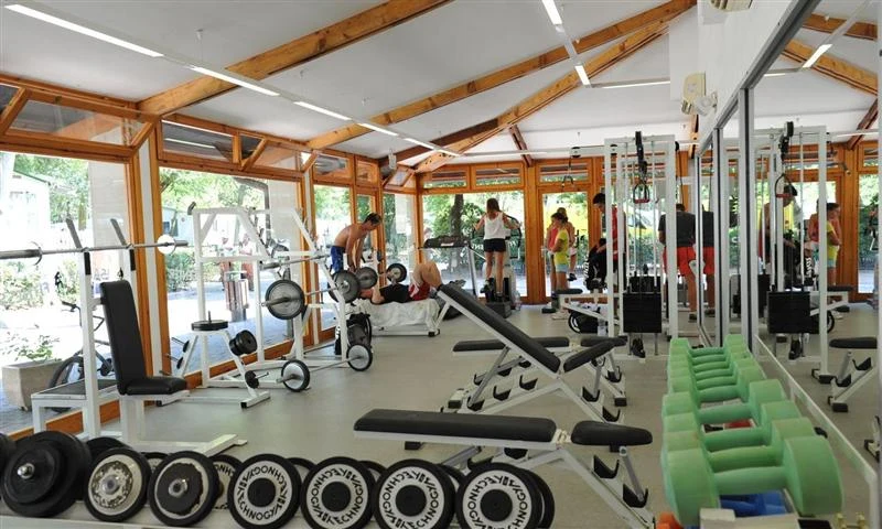 People using various exercise equipment in a well-lit gym with large windows, surrounded by nature at Isamar