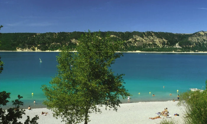 Beachgoers sunbathing and swimming near a tree, with turquoise water and rocky cliffs in the background at de l'Aigle