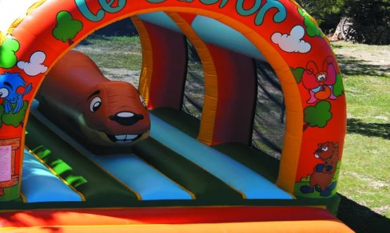 Inflatable obstacle course with colorful animal designs in a grassy outdoor area at de l'Aigle