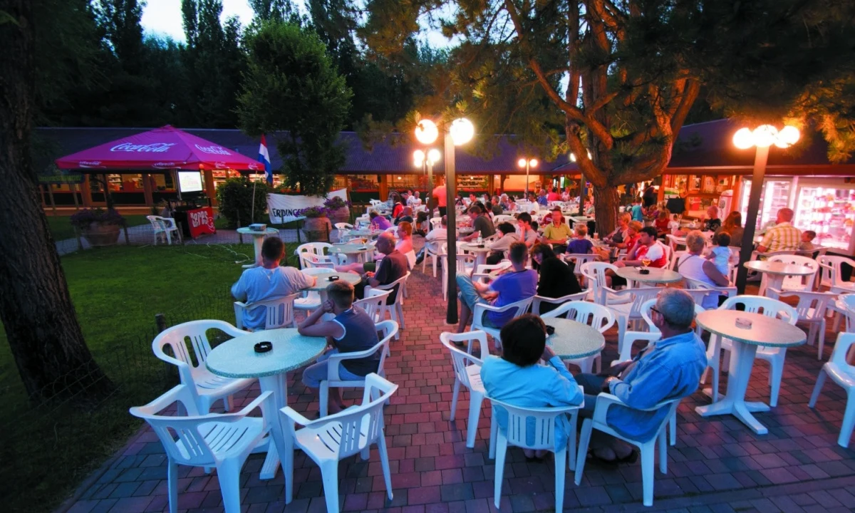 People seated at outdoor tables, relaxing and socializing under the trees in a lit patio area at Isamar