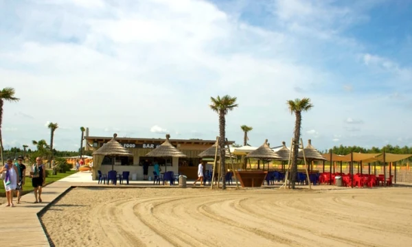 A sandy beach area with a food bar, shaded seating, and palm trees; several people are walking nearby at Oasi