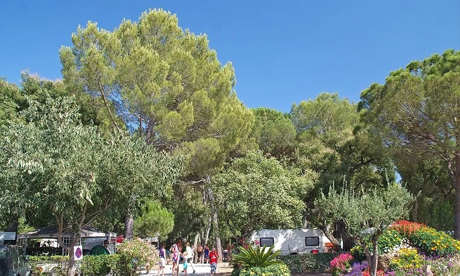 People walking near caravans among trees and flowers on a sunny day at Leï Suves