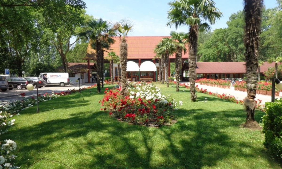 Palm trees and blooming flowers adorn a grassy park surrounded by buildings and parked cars at Isamar