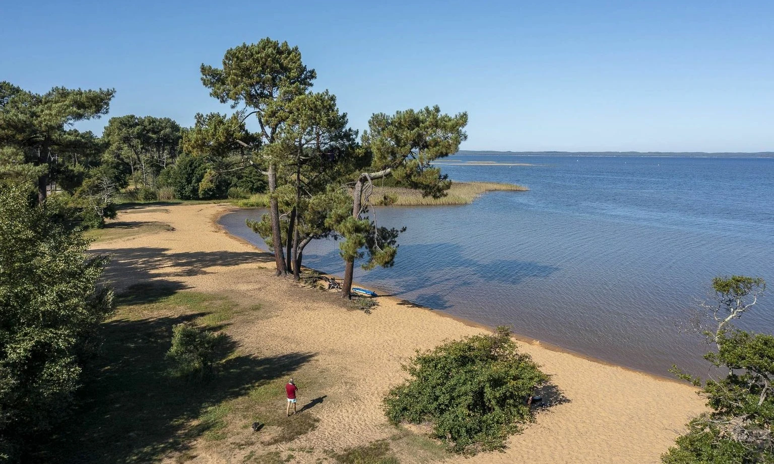 Person walking on sandy beach near lake with trees and bushes, under clear blue sky at Lac de Sanguinet