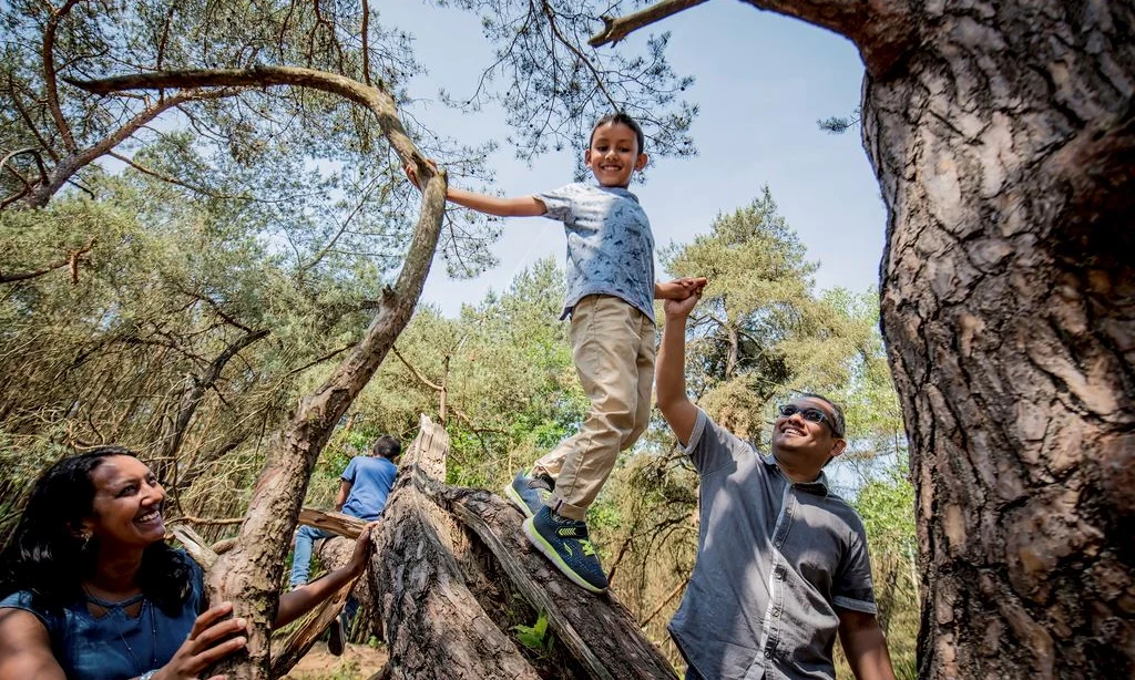 Child climbing tree with adult support, woman watching and smiling, in woodland area at Landal Rabbit Hill