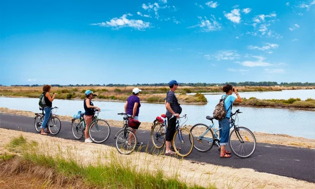 Five cyclists stand beside their bikes, admiring a lakeside view on a paved path, surrounded by grassy marshland at Seasonova Ile de Ré