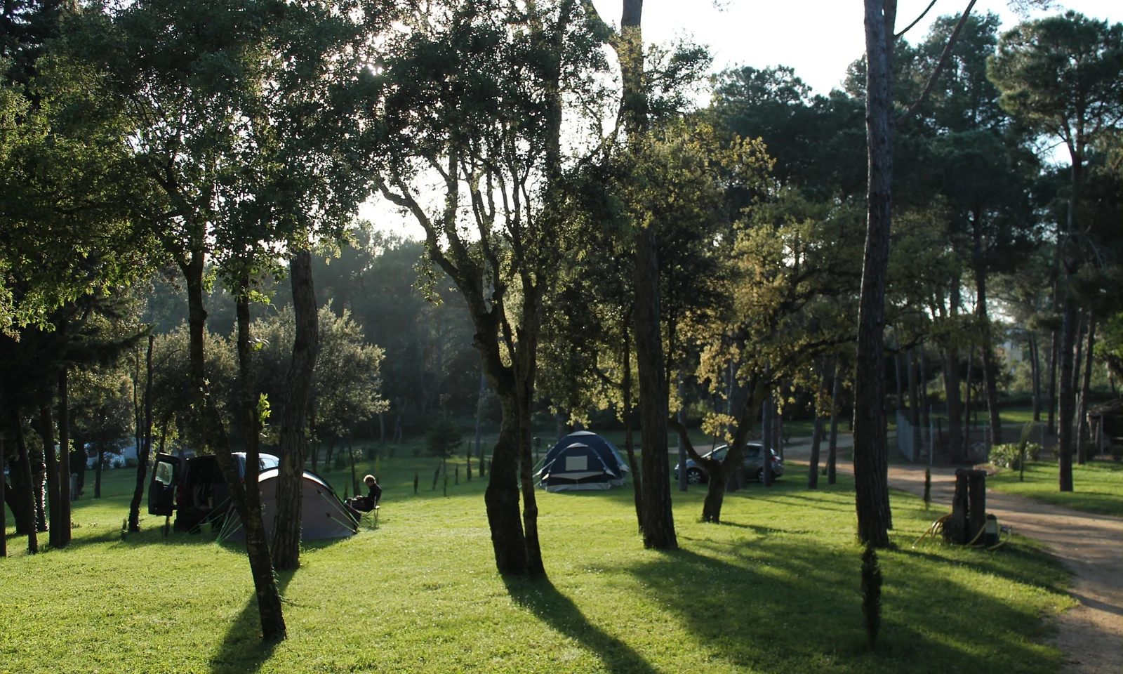 Tent surrounded by trees in a grassy area with sunlight filtering through leaves at Begur