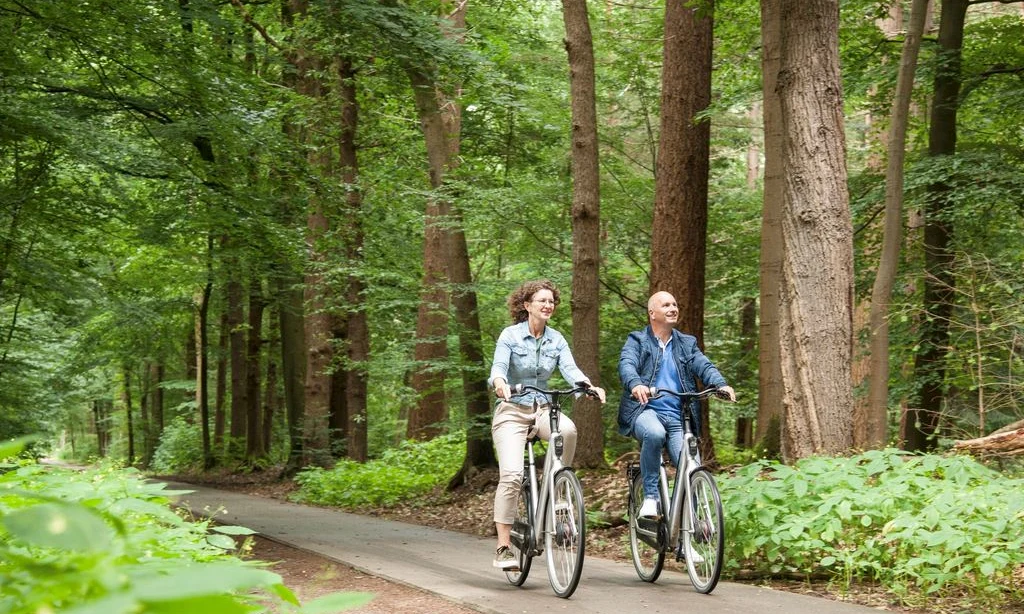 Two people riding bicycles on a forest pathway surrounded by tall trees at Landal Rabbit Hill