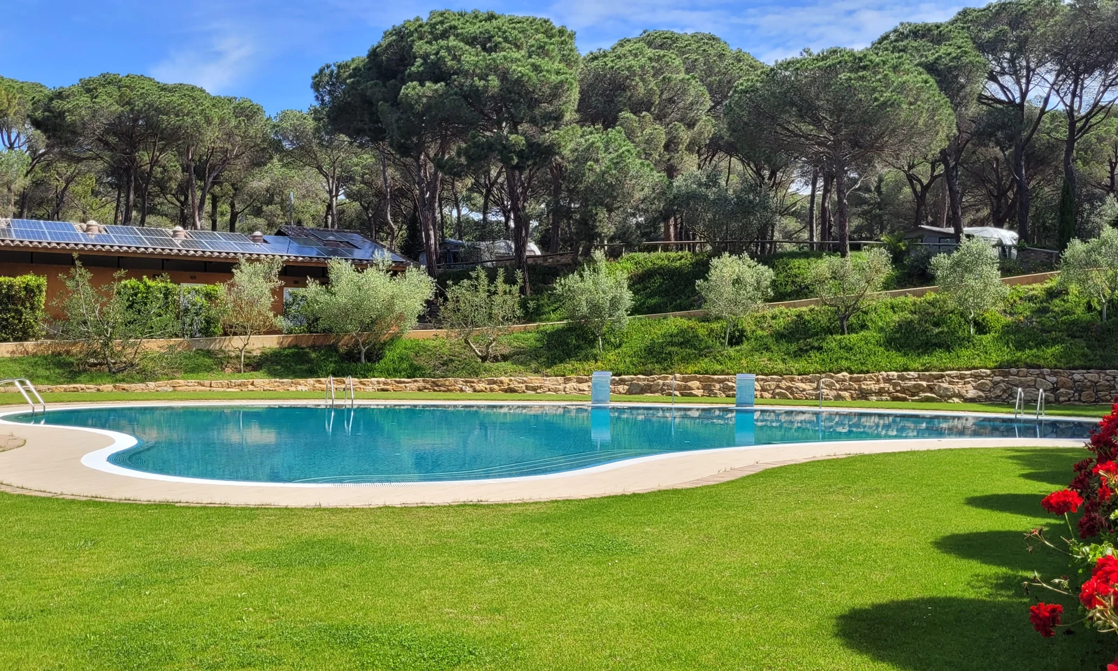 Swimming pool reflecting blue sky, surrounded by green grass and trees, at a serene forested area at Begur