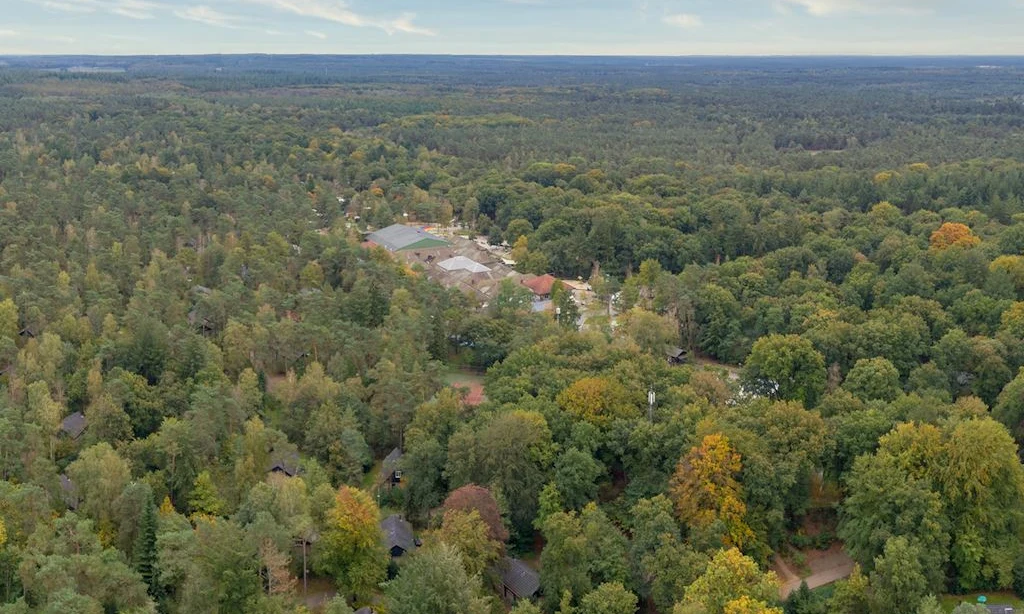 A dense forest with various buildings and winding paths nestled within, viewed from above at Landal Rabbit Hill