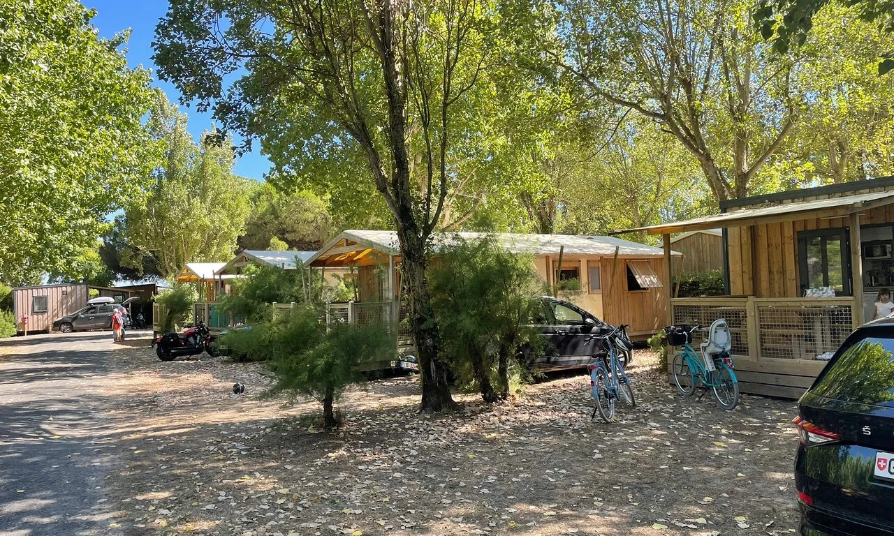 Wooden cabins under trees surrounded by parked bicycles and cars on a sunny day at Seasonova Ile de Ré