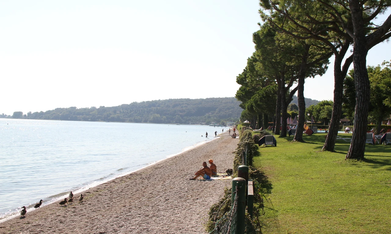 Beachgoers sitting on a pebbled shore with ducks nearby, adjacent to a grassy area with trees and tents at Front Lake Resort Le Corti del Lago