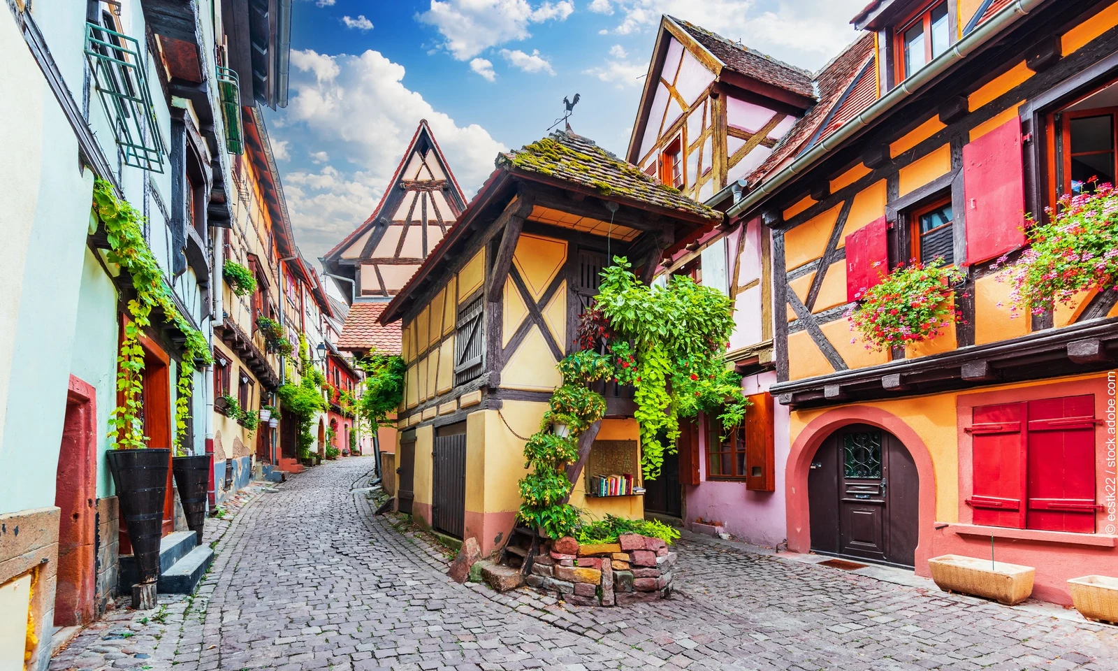 Half-timbered houses line a narrow cobblestone street, surrounded by lush greenery and vibrant flower boxes at La Foret