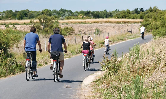 Cyclists riding on a paved path through a rural landscape with green fields and trees at Seasonova Ile de Ré