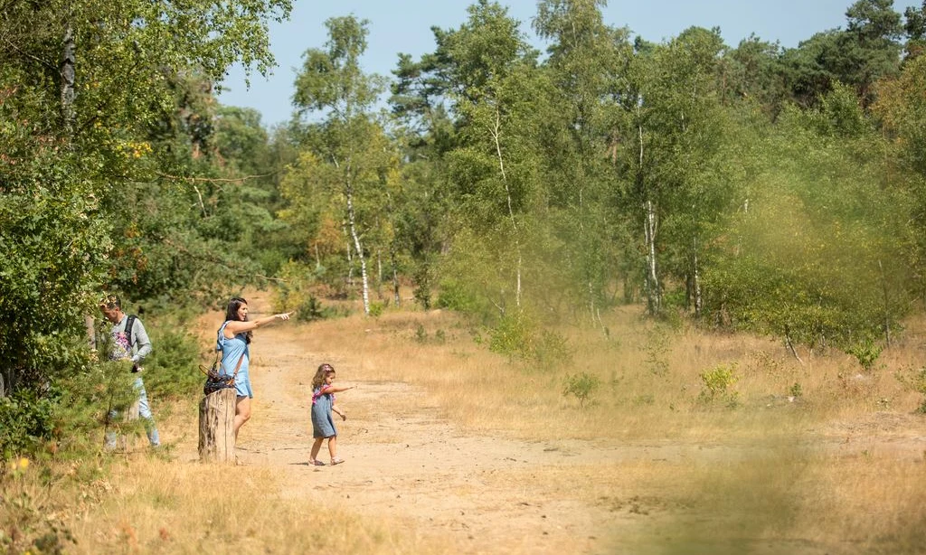 Person pointing while standing with a child on a grassy trail surrounded by lush green trees at Landal Rabbit Hill