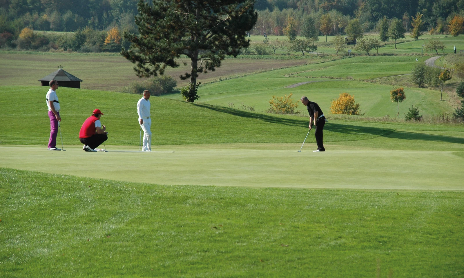 Four golfers preparing to putt on a golf course surrounded by lush, rolling green hills and trees at KNAUS Campingpark Hünfeld