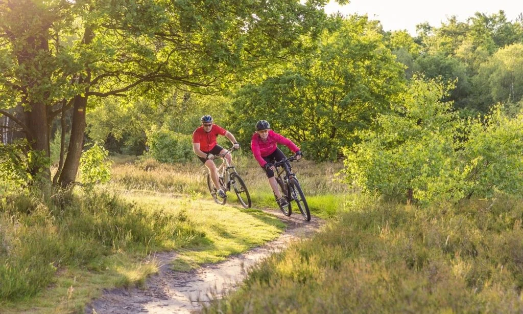 Two cyclists riding on a dirt trail through a lush, sunlit forest at Landal Rabbit Hill