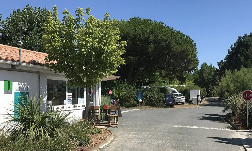 A white building with a tree outside, next to a parking area with parked cars and greenery at Seasonova Ile de Ré