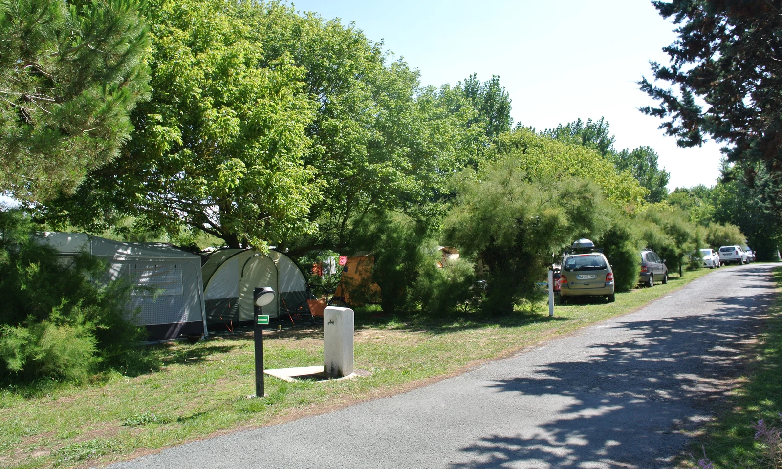 Tents and cars under trees along a campsite road surrounded by greenery at Seasonova Ile de Ré