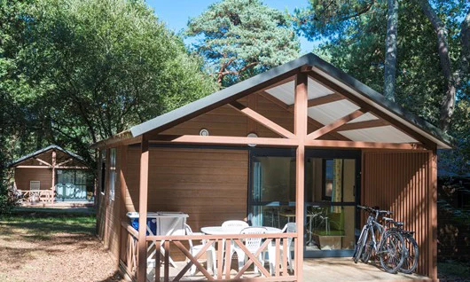 A wooden cabin stands amidst tall trees with bicycles parked outside and plastic chairs on the porch at La Foret