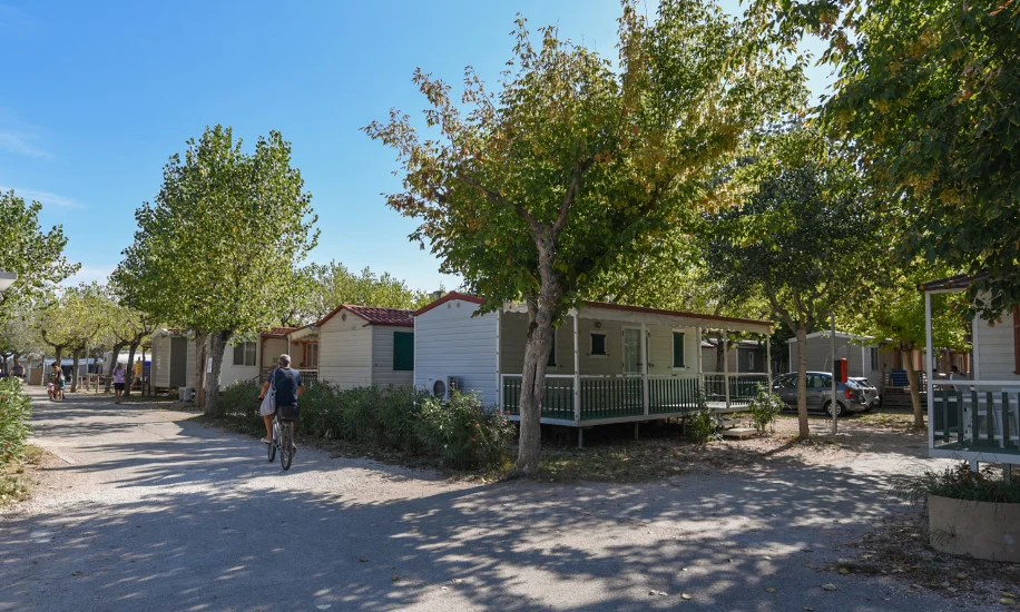 Cabins with porches nestled among trees, while a person cycles down a sunlit path at International Riccione Family Camping Village