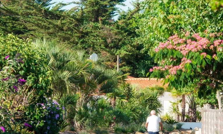 Person cycling on a pathway surrounded by lush greenery and colorful flowers at Le California