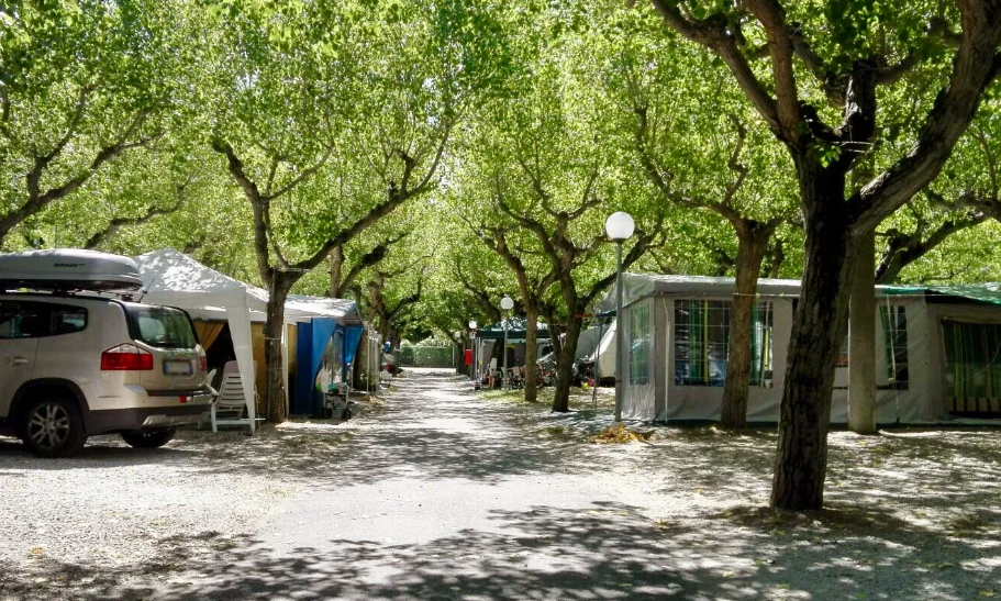 Tents and a parked car line a tree-shaded pathway in a sunny campground at International Riccione Family Camping Village