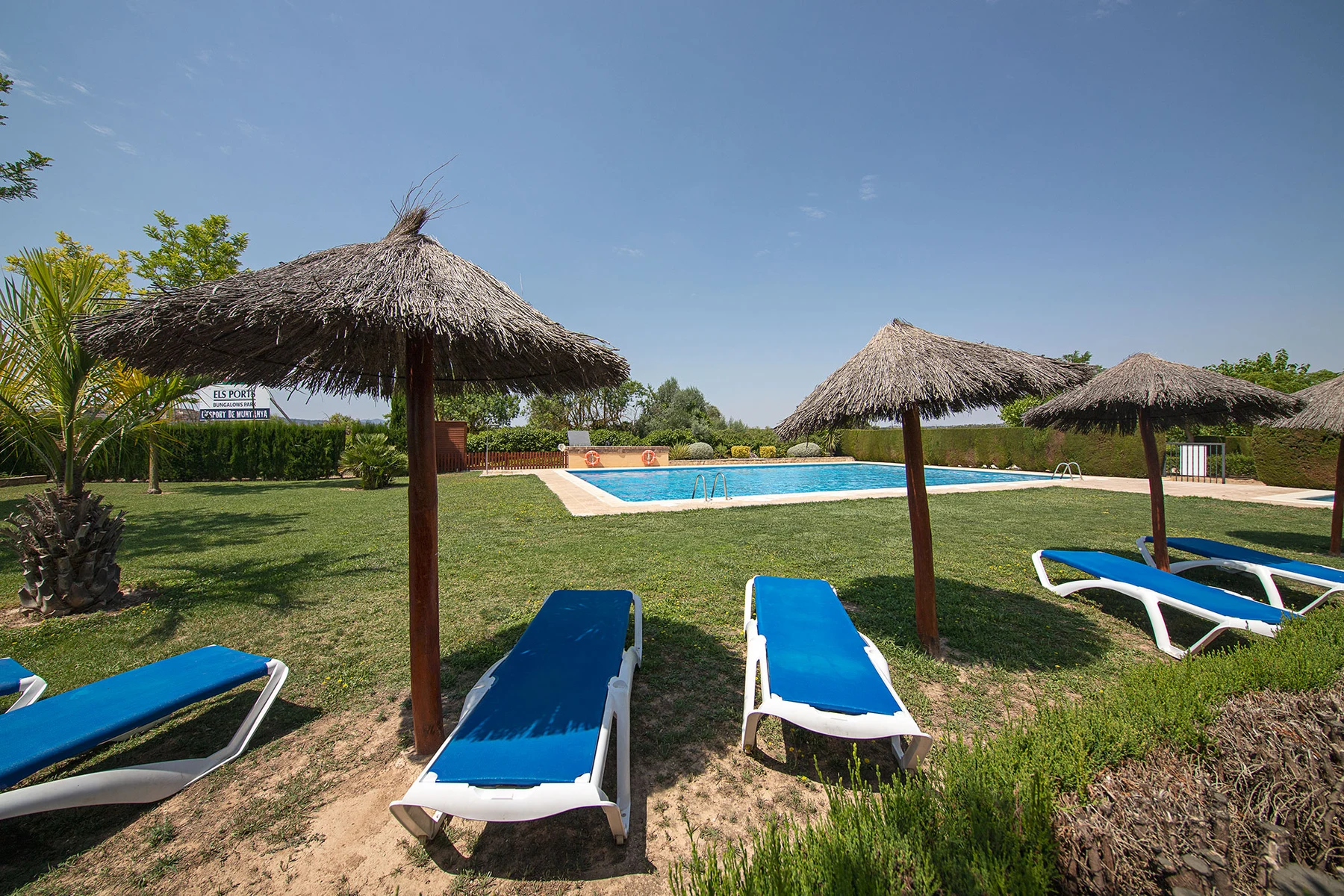 Sunloungers beside straw umbrellas near a swimming pool in a grassy area at Els Ports