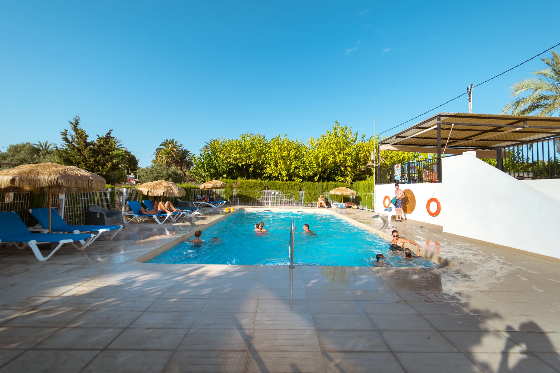 People swimming and lounging around a pool with sunbeds and straw umbrellas, surrounded by greenery and bright blue sky at Armanello