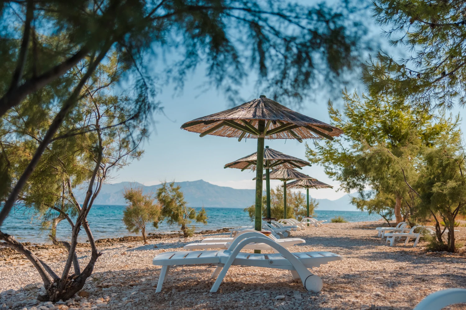 Beach loungers lie empty under straw umbrellas by a tranquil, rocky shore, surrounded by trees at Waterman Beach Village