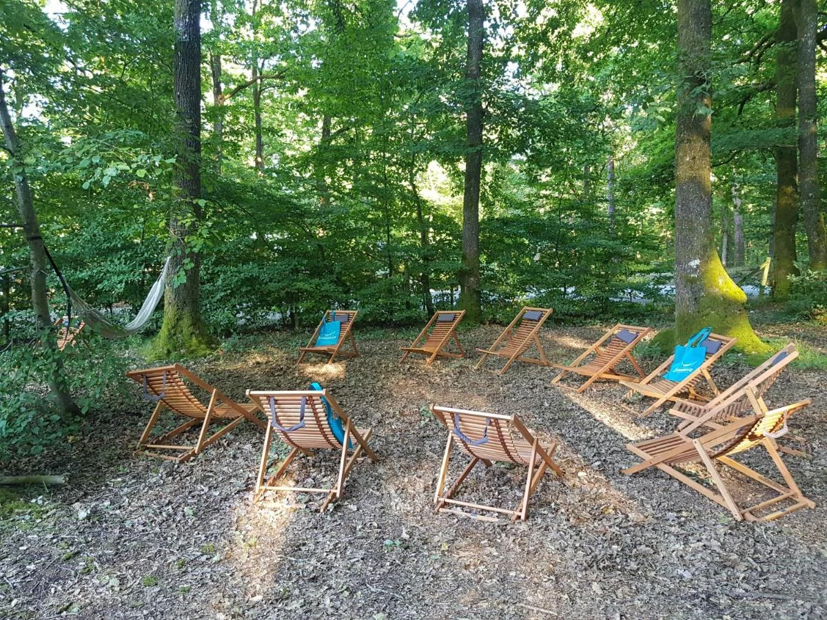 Wooden chairs encircle a clearing in a lush, green forest with scattered leaves on the ground at Seasonova La Forêt