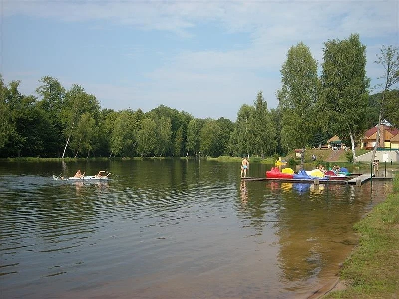 People riding paddle boats and swimming in a serene lake surrounded by lush trees and cabins at Ramstein Plage