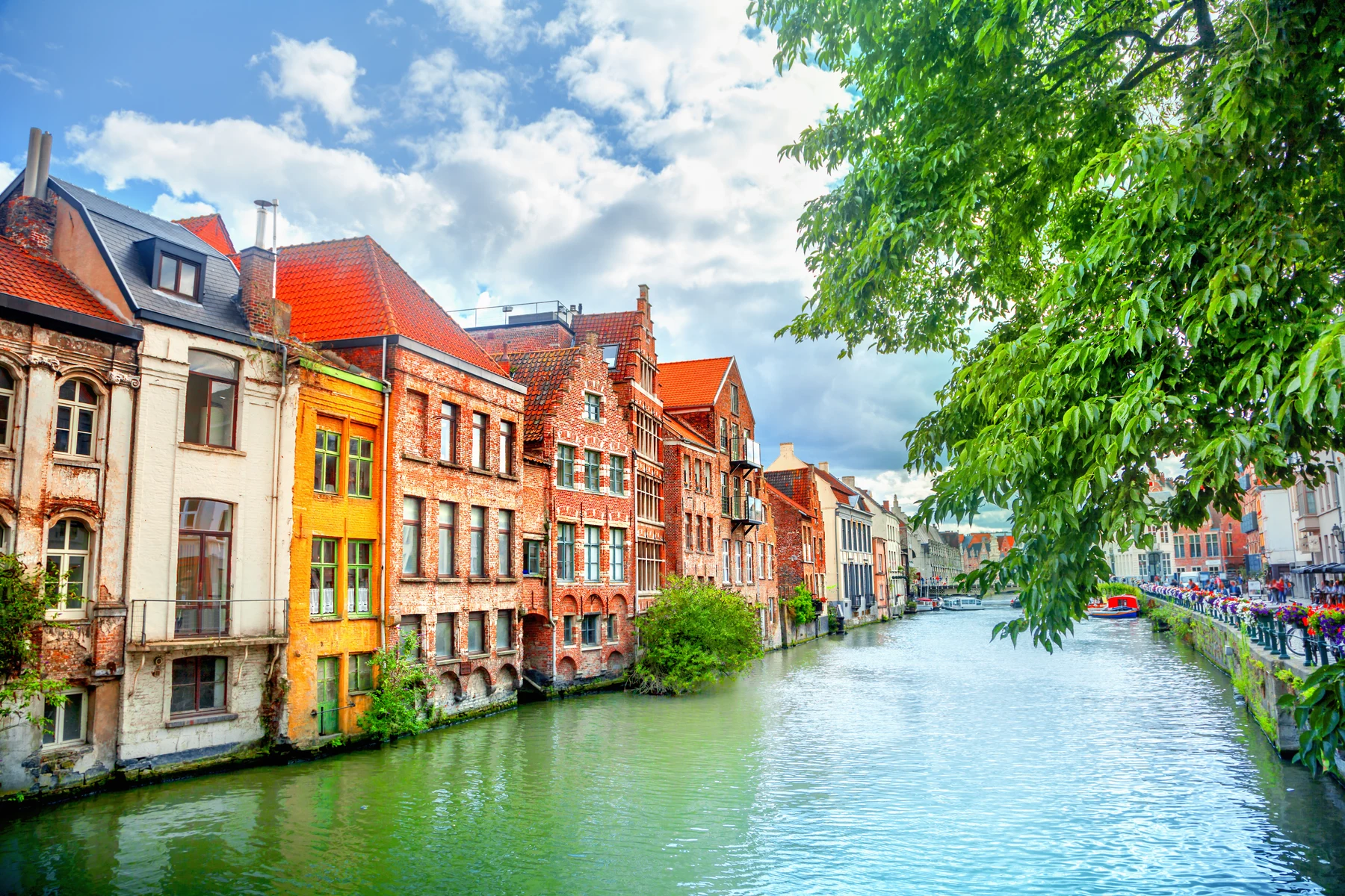 Colorful buildings stand along a calm canal, framed by a tree, under a partly cloudy sky at Urban Gardens Gent