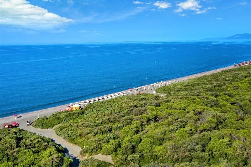 Beach with aligned parasols next to lush greenery and ocean under a blue sky at Club Degli Amici
