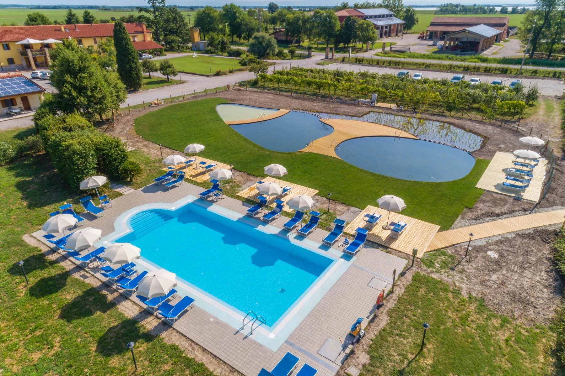 Swimming pool with sun loungers and umbrellas around, adjacent to a pond, surrounded by greenery and buildings at Agriturismo Tenuta Regina