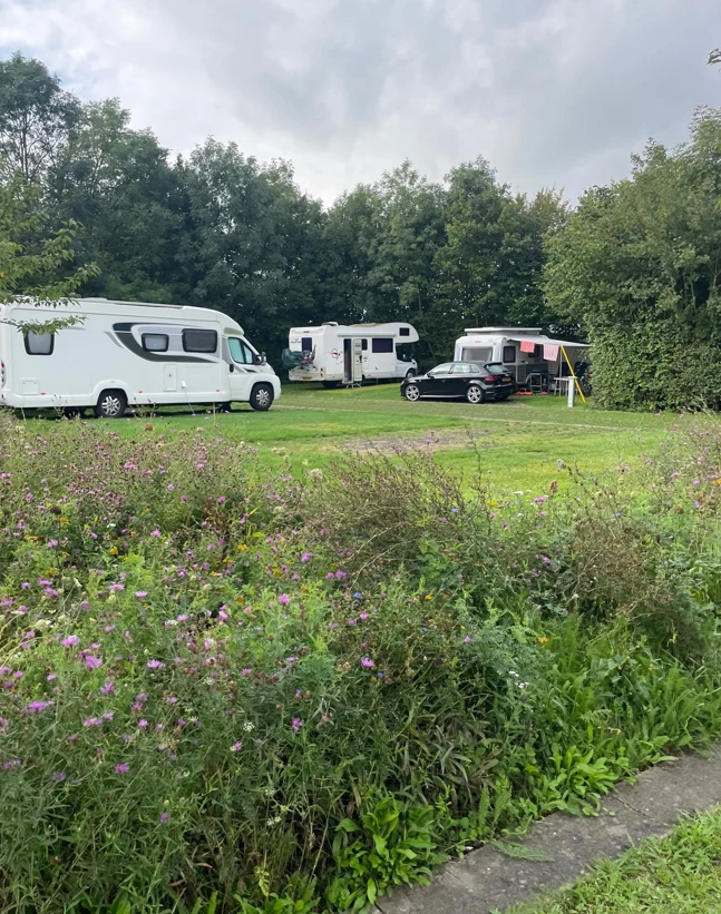 RVs parked among green grass and trees, near blooming wildflowers at Urban Gardens Ieper