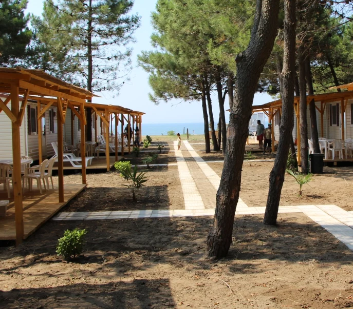 Wooden cabins nestled among pine trees with a pathway leading towards a beach at Safari Beach