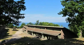 area image