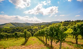 Burgenland