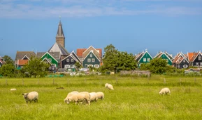 Brabancja Północna