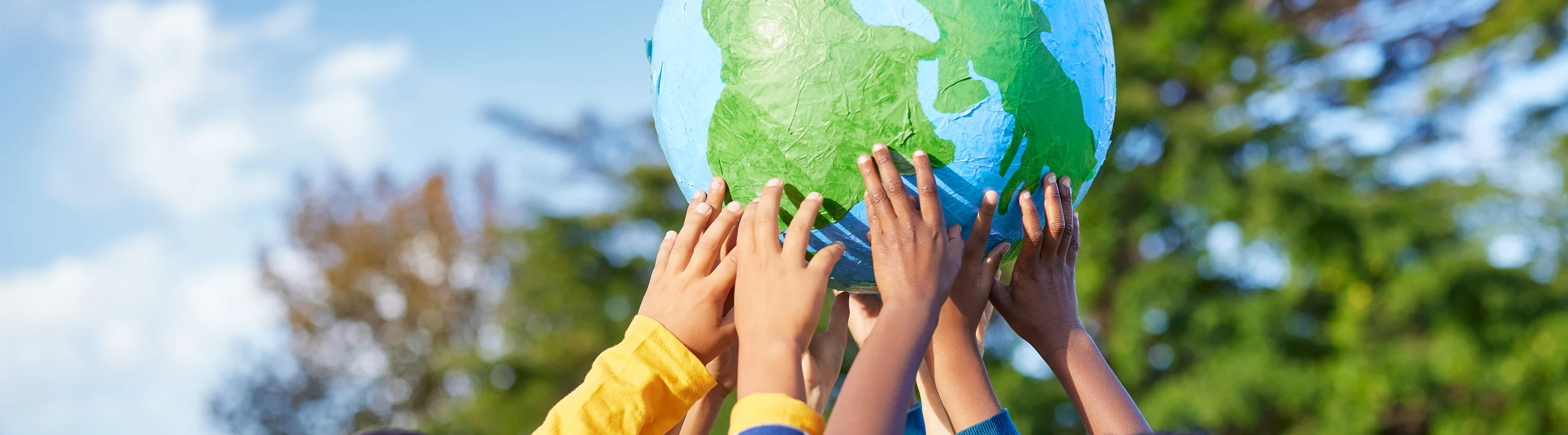 sustainable earth