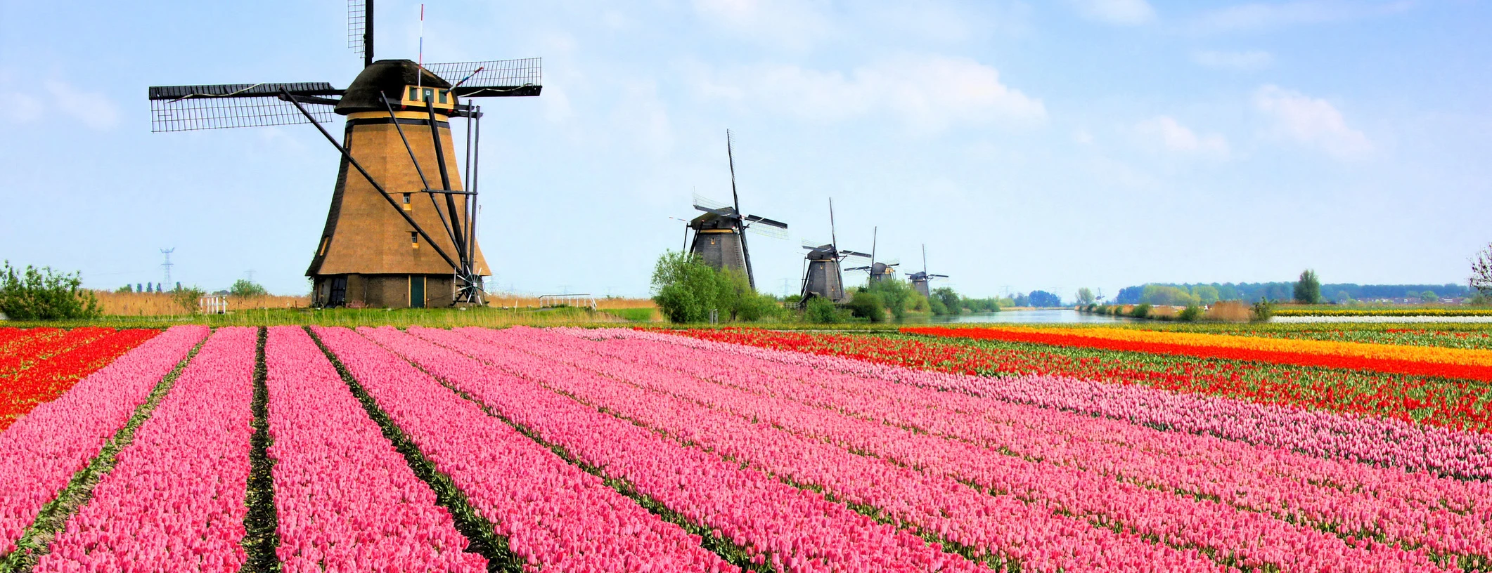 The Netherlands