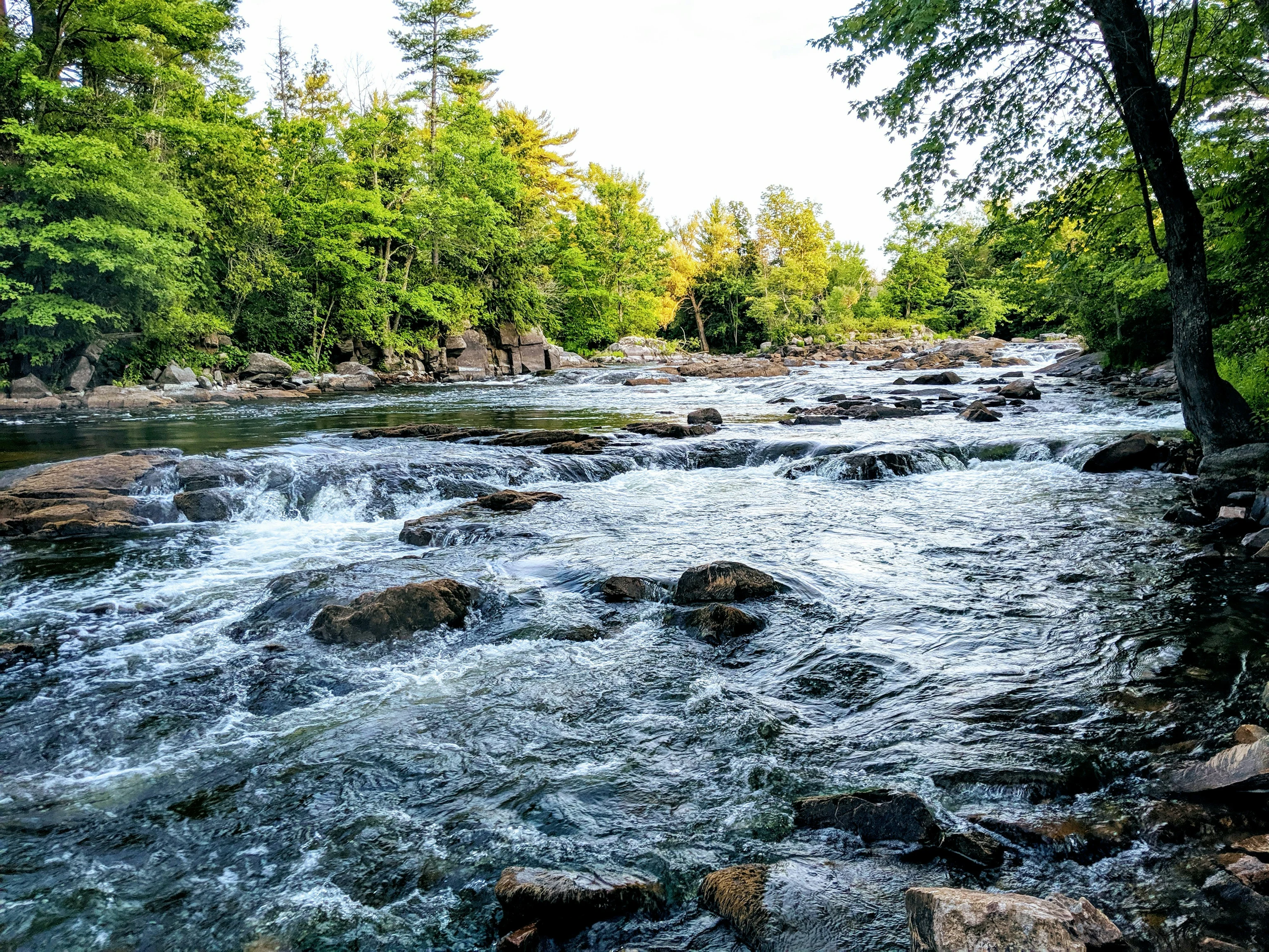 Rivier